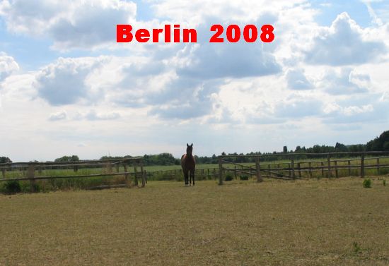 2008 Berlin 2008
(c) www.kawasaki-z.de